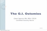 The G.I. Ostomies - gwenrn.com · WOC nurse- wound, ostomy & continence nurse a.k.a stoma nurse, ostomy nurse, enterostomal (E.T.) nurse or therapist Friday, November 8, 2013. General