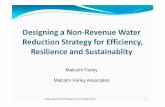 Designing a Non-Revenue Water Reduction Strategy for ... · Designing a Non-Revenue Water Reduction Strategy for Efficiency, Resilience and Sustainablity Water Ideas 2016: Bologna,
