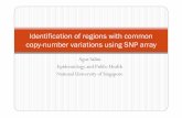 Identification of regions with common copy-number ... · Identification of regions with common copy-number variations using SNP array Agus Salim ... F h i hFor each region we have: