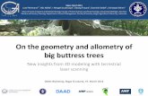 On the geometry and allometry of big buttress treeswiki.awf.forst.uni-goettingen.de/wiki/images/d/df/Fehrmann&Noelke.pdf · Sample trees DAAD Workshop Bogor, 16. – 22.03.2014 12