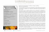 2010 Cornerstone Cellars Napa Valley The Cornerstone · PDF fileCORNERSTONENAPA CORNERSTONENAPA! ... 2010 Cornerstone Cellars Napa Valley The Cornerstone ... bringing concentrated