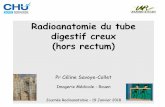 Radioanatomie du tube digestif creux (hors rectum) .Radioanatomie du tube digestif creux (hors rectum)