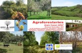 Agroforesteries - Conseils Arbres - Caue 77 · Agroforesteries Alain Canet AFAF Konrad Schreiber IAD et de nombreux céréaliers, viticulteurs, éleveurs, maraîchers, chercheurs,