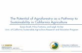The Potential of Agroforestry as a Pathway to ... · Agroforestry offers potential for beneficial ecosystem services and reduced input use, but most models in California are not yet