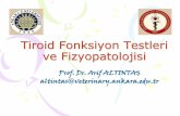 Tiroid Fonksiyon Testleri ve Fizyopatolojisiacikders.ankara.edu.tr/pluginfile.php/1046/mod_resource/content/1/9... · • Dolaımda tiroid hormonlarının %99’dan fazlası plazma
