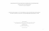 Untersuchungen zur Interaktion des krankheitsrelevanten ...ediss.sub.uni-hamburg.de/volltexte/2011/5124/pdf/Krzoska.pdf · Lysosom transferiert und dort zum aktiven 38kDa-Protein
