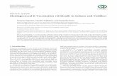 Review Article Meningococcal B Vaccination (4CMenB) in ...downloads.hindawi.com/journals/jir/2015/402381.pdf · Review Article Meningococcal B Vaccination (4CMenB) ... of N. meningitidis