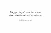 Triggering Consciousness Metode Pemicu Kesadaranaccounting.feb.ub.ac.id/wp-content/uploads/2013/09/2013_INSIGHT... · ... (big bang) A B ... • MK : Akuntansi Multiparadigma/Akuntansi