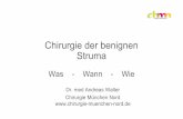Chirurgie der benignen Struma: Was-Wann- der Schilddr¼se â€“„tiologie Struma diffusa et nodosa / Autonomie