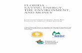 FLORIDA - SAVING ENERGY, THE ENVIRONMENT, AND … · FLORIDA - SAVING ENERGY, THE ENVIRONMENT, AND MONEY Local Governments in Action: Some Best Practices To Address Global Warming