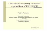 Obstructive uropathy in infants guidelines of EAU-ESPUnucleus.iaea.org/HHW/NuclearMedicine/PaediatricsandNephrourology/... · Obstructive uropathy in infants – guidelines of EAU/ESPU
