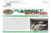 OFFICIAL NEWSLETTER OF THE LAKE ST. … World...YOUR DUES EXPIRE AT THE END OF THIS MONTH LAKE ST. CLAIR WALLEYE ASSOCIATION P.O. BOX 130 ST. CLAIR SHORES, MI 48080 PRINTED ON RECYCLED