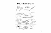 PLANKTON - site.iugaza.edu.pssite.iugaza.edu.ps/elnabris/files/2015/09/1_-Plankton-Introduction.pdf · Plankton are neither attached to the bottom (benthos) nor able to swim effectively