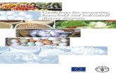 Guidelines for Measuring Household and Individual Dietary ... · 6 Guidelines for Measuring Household and Individual Dietary Diversity This is a revised version of the guidelines