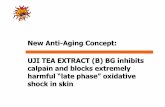 New AntiNew Anti--Aging Concept: Aging Concept: UJI TEA ...asia.in-cosmetics.com/RXUK/RXUK_In-CosmeticsAsia/Files/Nikko... · Inflammation and skin aging protein carbonylation Fine