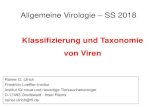 Klassifizierung und Taxonomie von Viren - lehre.fli.de · verschiedene andere Herpesviren (Cytomegalievirus, Herpes simplex-Virus, Varicella zoster-Virus) ... Struktur und Klassifizierung