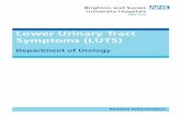 Lower Urinary Tract Symptoms (LUTS) · Clinic or a Lower Urinary Tract Symptoms (LUTS) clinic for an assessment. There you will be seen by a specialist nurse or a doctor, either at