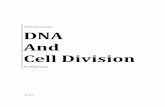 DNA and Cell Division - Buffalo-Hanover … And Cell Division Reading Packet BCMS 5.1 DNA, RNA, and Protein Synthesis Learning Objectives Explain the chemical composition of DNA. Explain