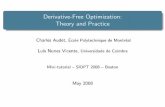 Derivative-Free Optimization: Theory and Practicelnv/talks/siopt-2008.pdf · Filters and progressive barrier for open constraints 4 Surrogates, global DFO, software, and references