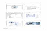 Red eye slides PS version.ppt eye... · Strokes.ppt 7 Angle Closure is an Emergency! Recognize acute glaucoma, “the great masquerader,” ...