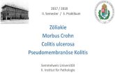 Coeliakia Crohn betegség Colitis ulcerosa ...semmelweis.hu/patologia2/files/2018/03/2.-Praktikum_GI2.pdf · Zöliakie Morbus Crohn Colitis ulcerosa Pseudomembranöse Kolitis Semmelweis