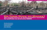 Do Trees Grow on Money? - redd.unfccc.int · Page 3 - Lowland tropical forest in the Mamberamo Basin, Papua, Indonesia Page 31 - Montane mixed forest, Jiu Zhaigou Valley, western