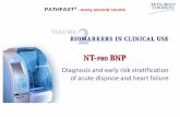 PATHFAST® - every second countsmedi-lab.hu/upload/content/NT_proBNP_klinikai_hasznalata_2.pdf · of acute dispnoe and heart failure . CHEMICAL ANP NT-proA N P BNP H2N proBNP Ventricle