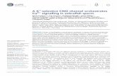 A K+-selective CNG channel orchestrates Ca2+ … Molekulare Neurosensorik, Center of Advanced European Studies and Research, Bonn, Germany; 2Lehrstuhl Biochemie der Pflanzen, Ruhr-Universita¨t