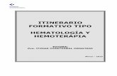 ITINERARIO FORMATIVO TIPO HEMATOLOGÍA Y …osaraba.eus/wp-content/.../03/jpa19-ift-hematologia-y-hemoterapia.pdf · incluyan en el «Journal of Citation Reports». Participar en
