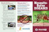 Mosquito- Borne - state.nj.us .What are mosquito-borne diseases? Mosquito-borne diseases are illnesses