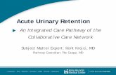 An Integrated Care Pathway of the Collaborative Care Network1)/Acute Urinary... · This Integrated Care Pathway was developed by and for members of the AAMC CCN. ... urolithiasis,