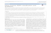 Pelvic trauma: WSES classification and guidelines.download.xuebalib.com/23qrKQf8Lp31.pdf · Pelvic trauma: WSES classification and guidelines Federico Coccolini1*, ... Anatomy of