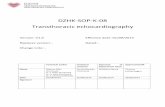 DZHK-SOP-K-08 Transthoracic echocardiography · DZHK-SOP-K-08 Transthoracic echocardiography Technical author Technical reviewer Approval of Department Head Approval DZHK Name Marcus