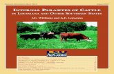 Research Information Sheet #104 August 2001 · Internal Parasites of Cattle in Louisiana and Other Southern States1 Research Information Sheet #104 August 2001 Introduction ...