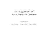Management of Rose Rosette - Oklahoma State Universityentoplp.okstate.edu/pddl/RRD Management-Tulsa Workshop Jen Olson.pdf · Management of Rose Rosette •Research is in progress,