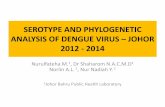 SEROTYPE AND PHYLOGENETIC ANALYSIS OF DENGUE VIRUS …jknj.moh.gov.my/jsm/day2/OP7 - Serotyping and Phylogenetic Analysis... · SEROTYPE AND PHYLOGENETIC ANALYSIS OF DENGUE VIRUS
