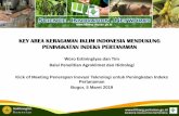 KEY AREA KERAGAMAN IKLIM INDONESIA MENDUKUNG …bbp2tp.litbang.pertanian.go.id/images/download/kickoffmeeting/Keys Area...TAHAPAN ANALISIS Data Indikator Global Data Iklim Data produksi,