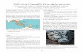 Saltwater Crocodile Crocodylus porosus - iucncsg.org · 2015-10-01 · 100 A great deal of ecological research was carried out in the 1970s and 1980s, particularly in Australia and