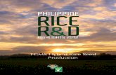 TGMS Hybrid Rice Seed Production - philrice.gov.ph · DDTK – disease diagnostic tool kit DENR – Department of Environment and Natural Resources DH L– double haploid lines DRR