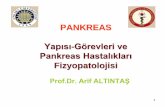 Yapısı Görevleri ve Pankreas Hastalıkları · Akut pankreatitis – Tanı • Belirtiler: İlerleyici epigastrik sancı, bulantı, kusma • İşaretler: hipovolemi, taşikardi,