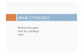 Paris Urine Cytology presentation - legeforeningen.no Doughty.pdf · Outline ¨ Urine – the basics ¨ A little on the history of claasification systems. ¨ What is the goal of urine