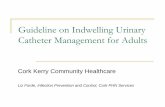 Guideline on Indwelling Urinary Catheter Management for Adults · The urine sample should be collected from the new catheter so the sample is representative of the microorganisms