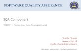 SOFTWARE QUALITY ASSURANCE - script.idscript.id/temp/1632c636c5a97062b97f7ea97a59c9a6.pdfDokumen spesifikasi kebutuhan dibuat untuk memastikan ... between the customers and the software