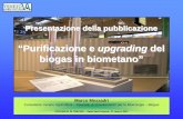“Purificazione e upgrading del biogas in biometano” 11-03... · PDF file¾NG, CNG, BM e biogas →Definizioni (anche nelle note) ... combustione interna di tipo tradizionale a