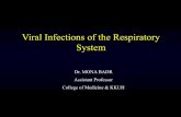 Viral Infections of the Respiratory System - ksumsc.com. Respiratory Block/Female...Ø Complications:-Primary influenza pneumonia -2ndbacterial pneumonia-Reye’s syndrome [fatty degeneration