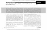 miR-34a and miR-34b/c Suppress Intestinal Tumorigenesiscancerres.aacrjournals.org/content/canres/77/10/2746.full.pdf · 2014 (Euroﬁns Medigenomix Forensik GmbH, Ebersberg, Ger-many).
