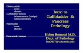 Intro to Gallbladder & Gallbladder & Pancreas Pathology · Cholecystitis acute Intro to Gallbladder & chronic Gallbladder tumors Adenomyoma (benign) Gallbladder & Pancreas Adenomyoma