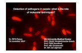 Detection of pathogens in sepsis: what is the role of ... Symposium/29th Peters Remco.pdf · Detection of pathogens in sepsis: what is the role of molecular techniques? Dr. RPH Peters