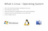 What is Linux -Operating System - Villanova Universityekim/classes/CSC2053F17/linux.pdf · update : a utility for flushing file system buffers ... kernel Linux. The combination of