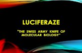 LUCIFERAZE - bio.bg.ac.rs · •Najnoviji okarakterisani luciferazni sistemi kod dinoflagelata govore o mogućem gubitku odnosno redukciji luminescentnog potencijala i konvergentnoj